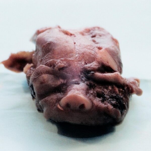 A precious baby aborted at 21 weeks.